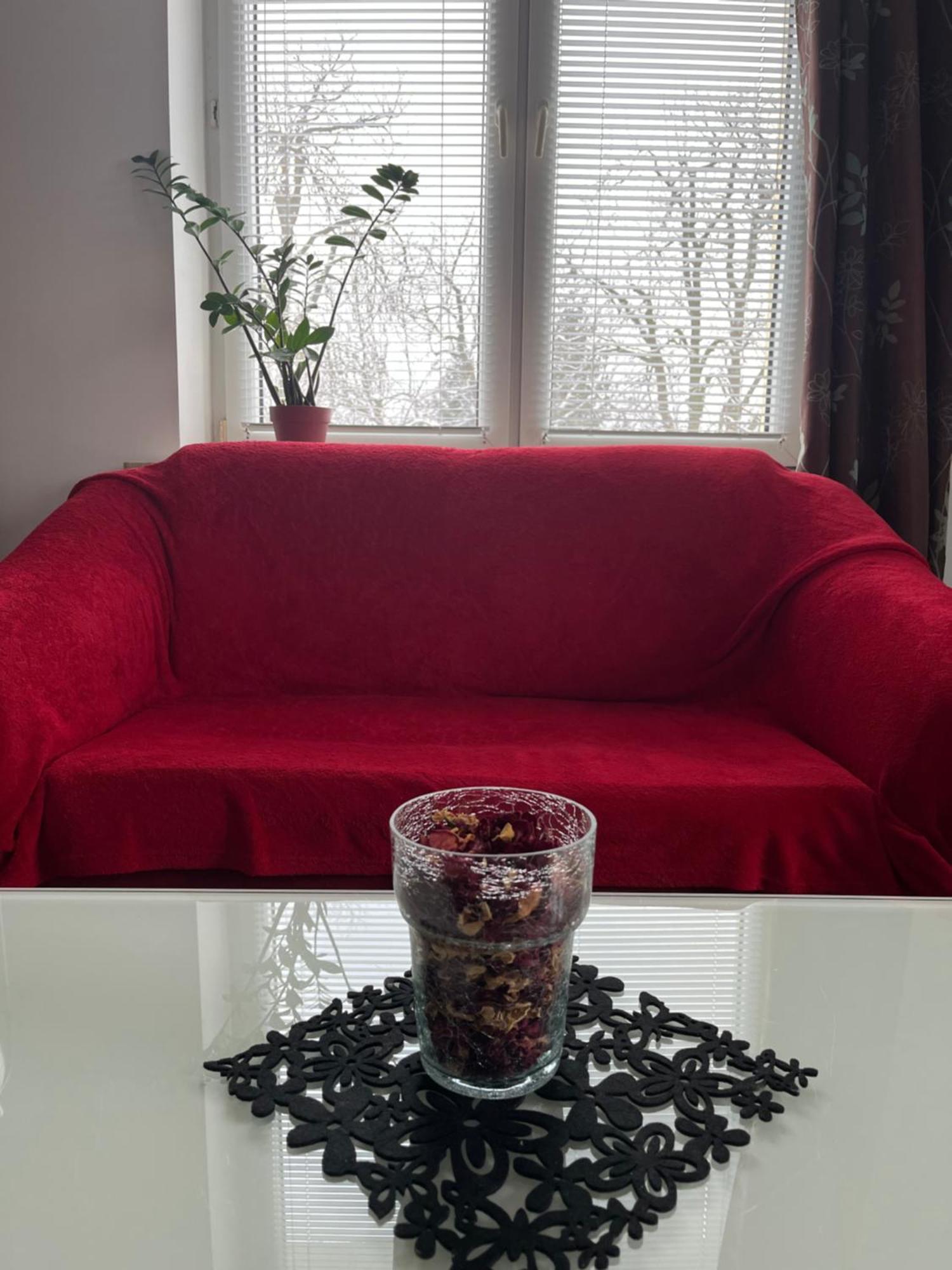 Apartament Przy Parku Czartoryskich - Faktury Vat - Parking Puławy Exteriör bild